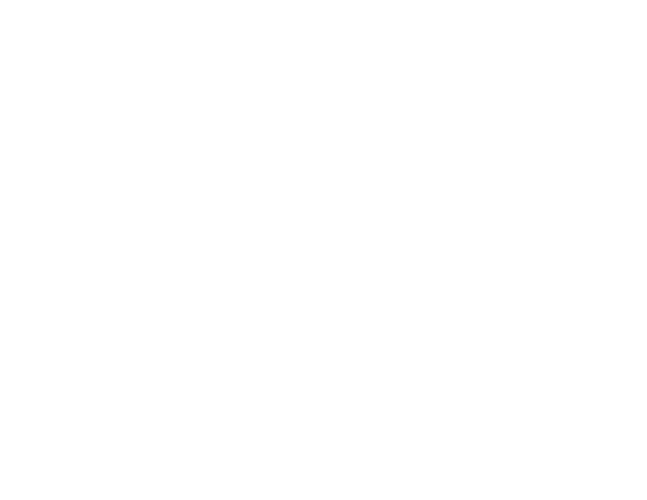 فلامينجو